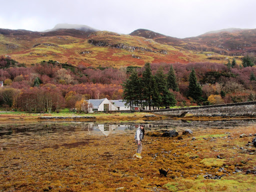 Pictures from Scotland, November 2009