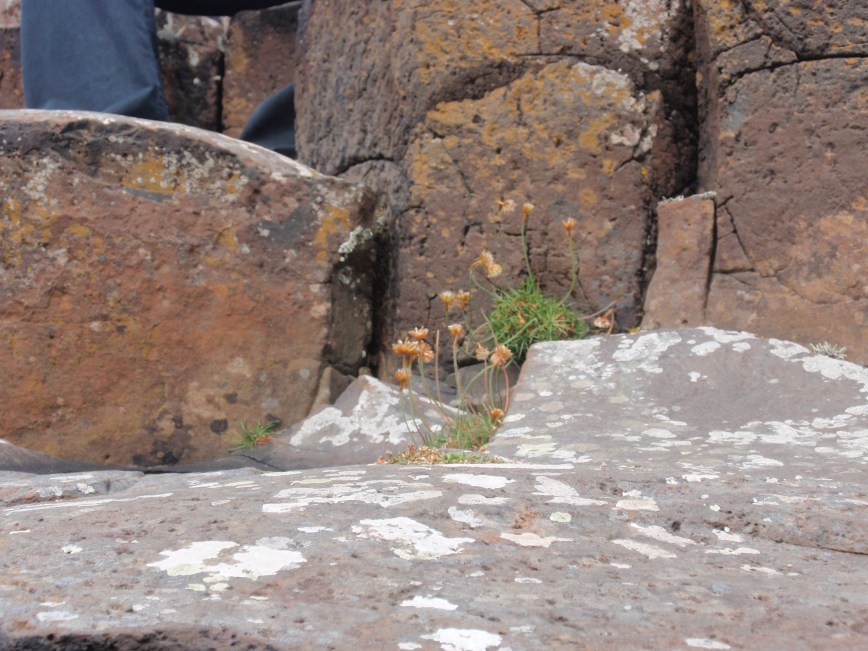 Welcome to Jennifer!