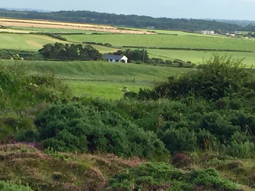 A Tale of Two Williams – A Father & Son Who Died within 4 Years of Each Other