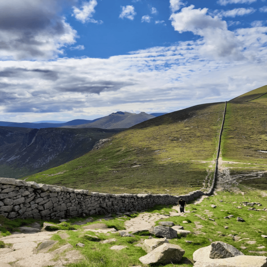 Changes to the Site, And an Updated Family Tree